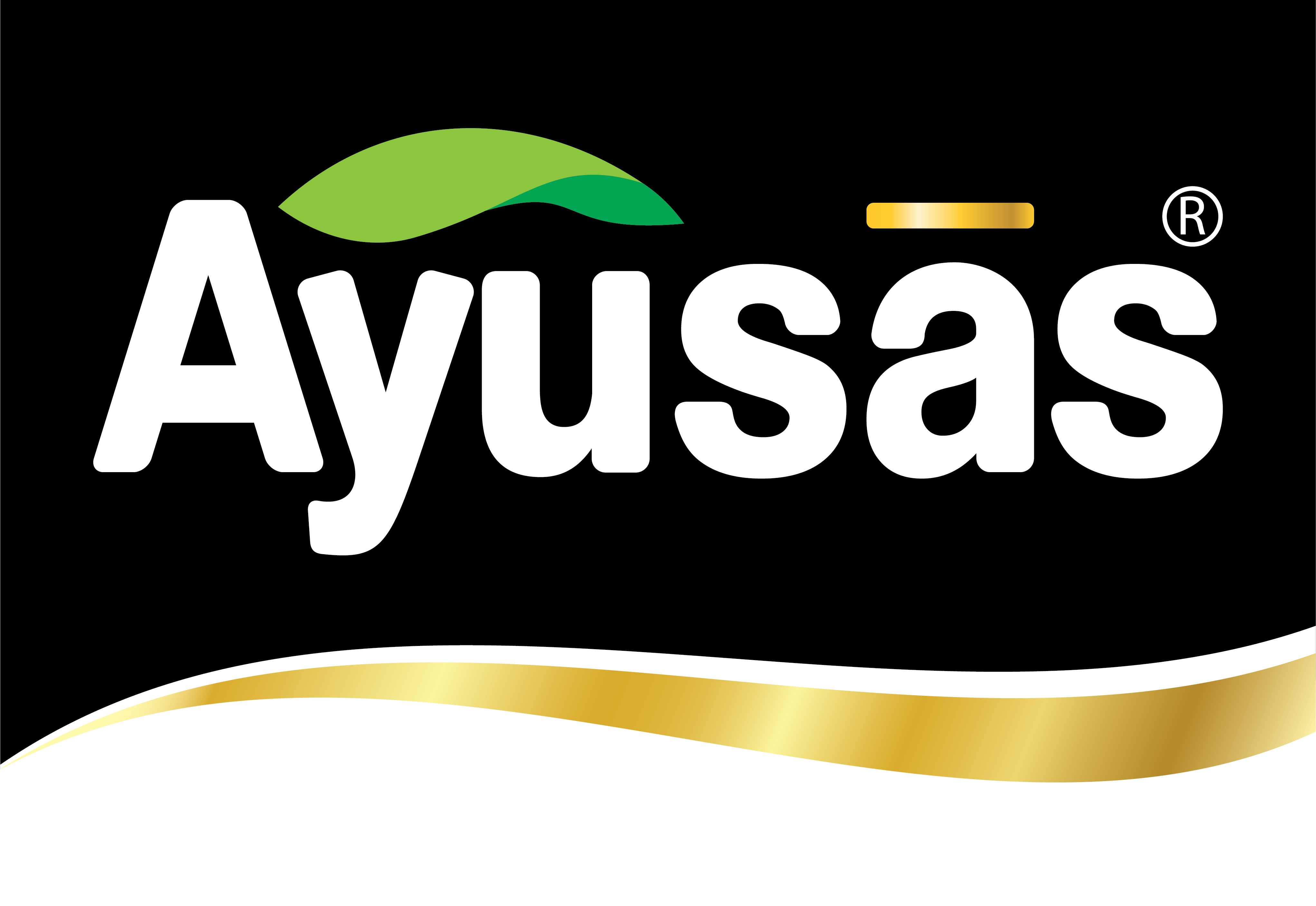 header_logo